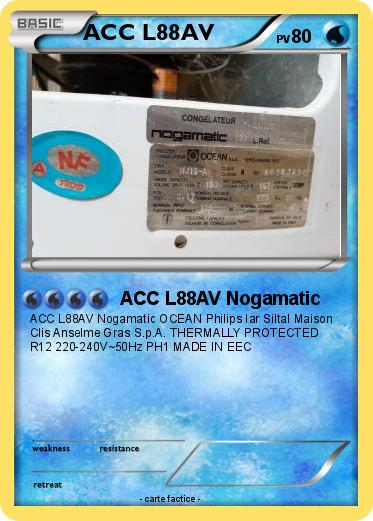 Pokemon ACC L88AV