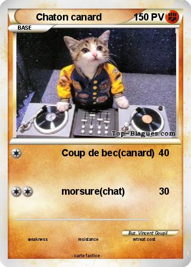 Pokemon Chaton canard