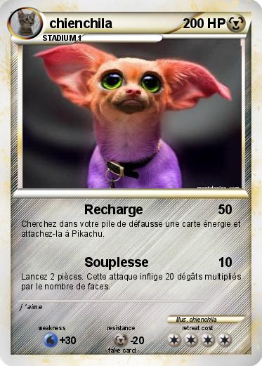 Pokemon chienchila