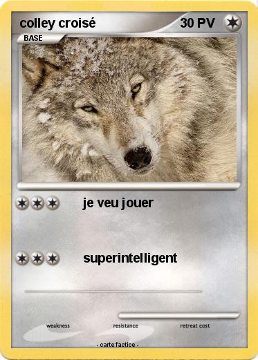 Pokemon colley croisé