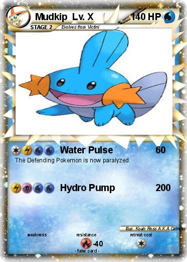 Pokemon Mudkip  Lv. X