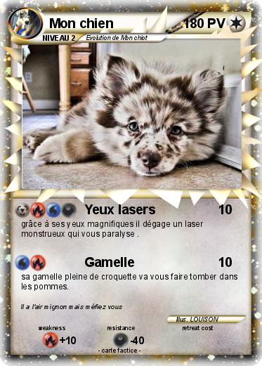 Pokemon Mon chien