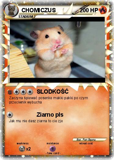Pokemon CHOMICZUS