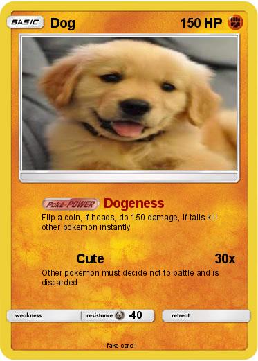Pokemon Dog
