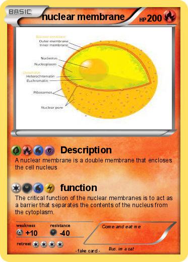 Pokemon nuclear membrane