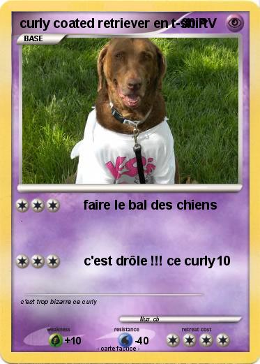 Pokemon curly coated retriever en t-shirt