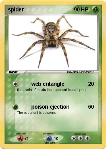 Pokemon spider