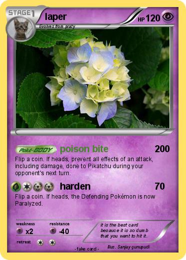 Pokemon laper