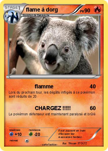 Pokemon flame à dorg