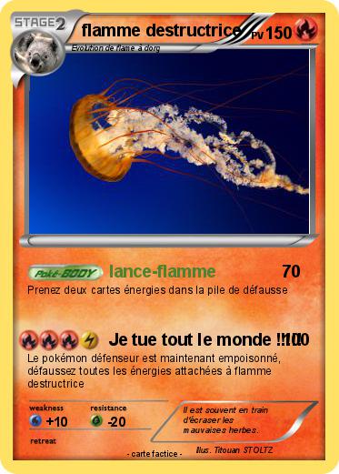 Pokemon flamme destructrice