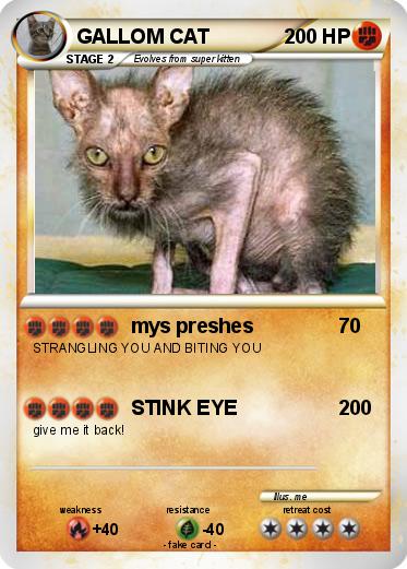 Pokemon GALLOM CAT