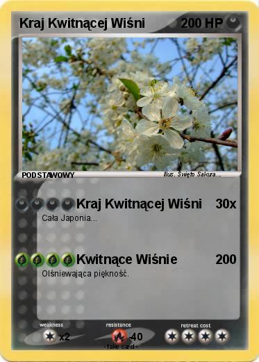 Pokemon Kraj Kwitnącej Wiśni