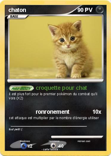 Pokemon chaton