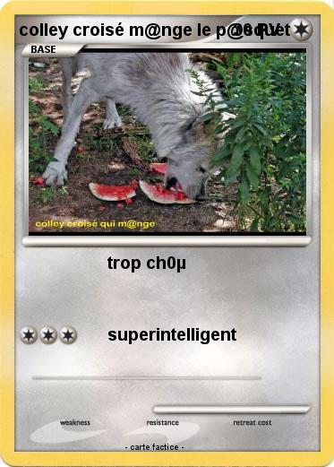 Pokemon colley croisé m@nge le p@squet