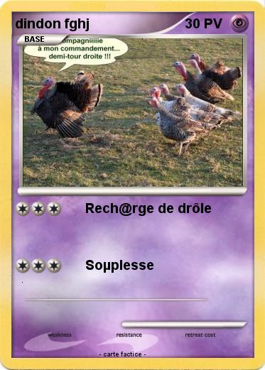 Pokemon dindon fghj