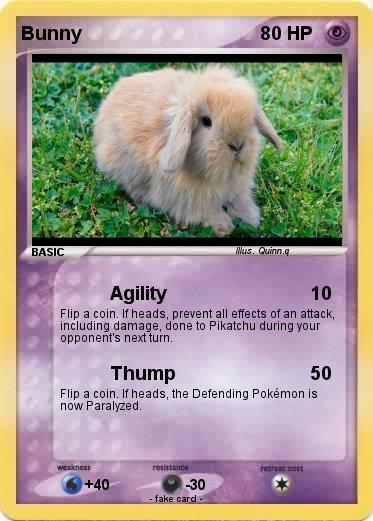 Pokemon Bunny
