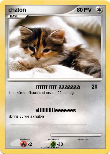 Pokemon chaton