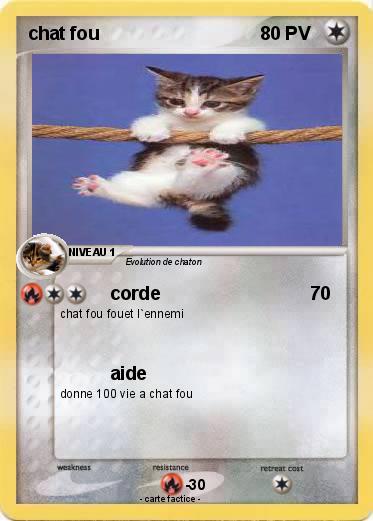 Pokemon chat fou