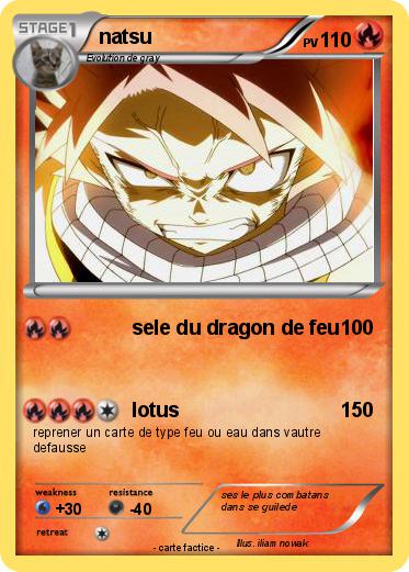 Pokemon natsu