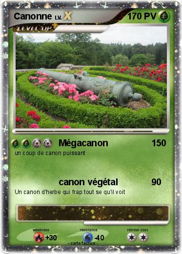 Pokemon Canonne