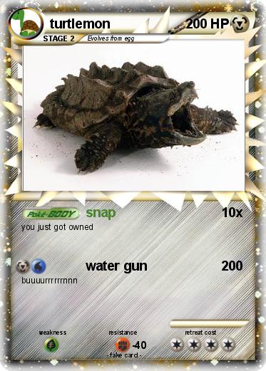 Pokemon turtlemon