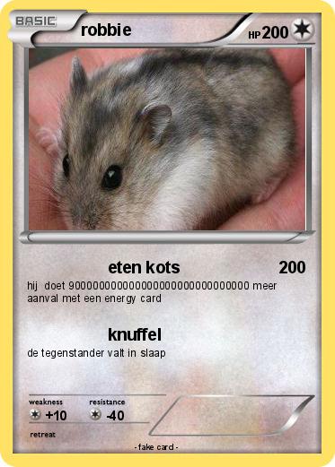 Pokemon robbie