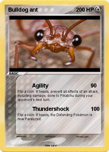 Pokemon Bulldog ant