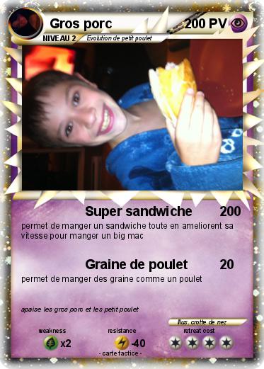 Pokemon Gros porc