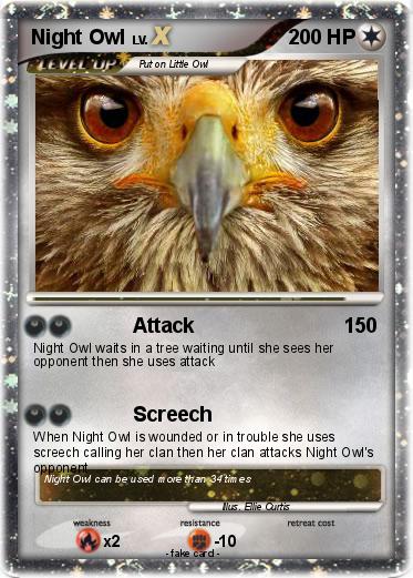 Pokemon Night Owl