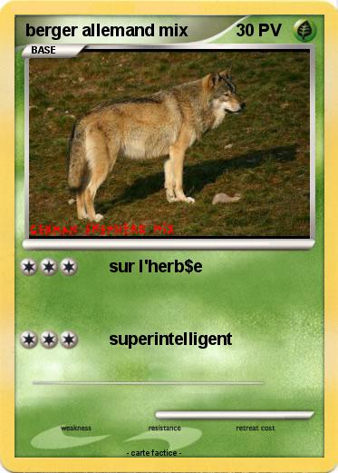 Pokemon berger allemand mix