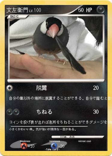 Pokemon 文左衛門