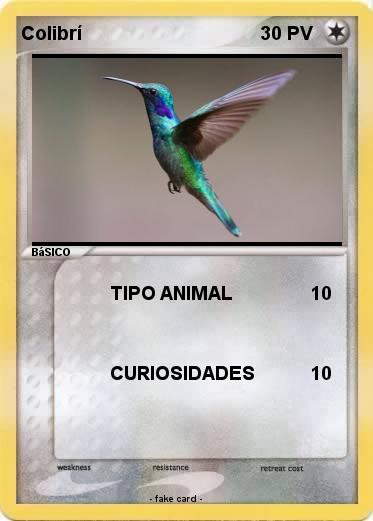 Pokemon Colibrí