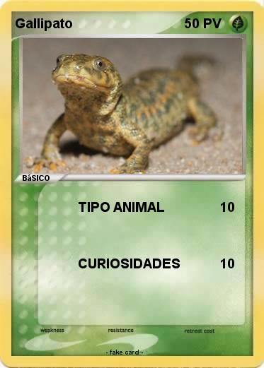 Pokemon Gallipato