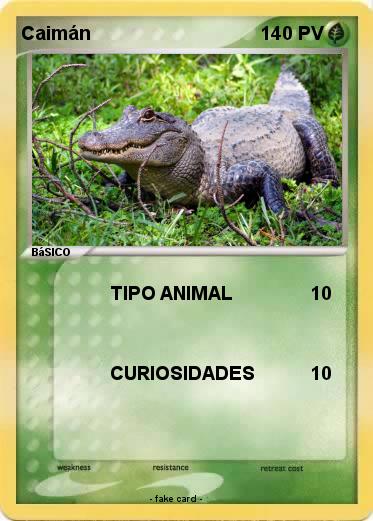 Pokemon Caimán