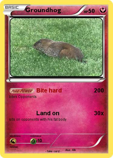 Pokemon Groundhog