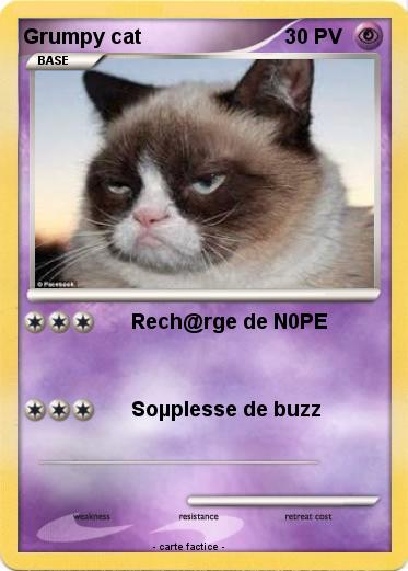 Pokemon Grumpy cat