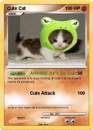 Pokemon Cute Cat