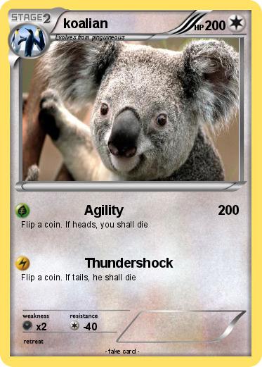 Pokemon koalian