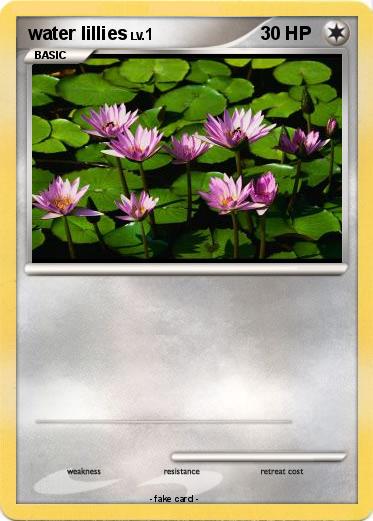 Pokemon water lillies