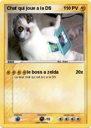Pokemon Chat qui joue a la DS