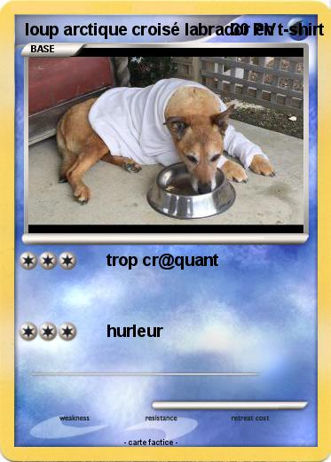 Pokemon loup arctique croisé labrador en t-shirt
