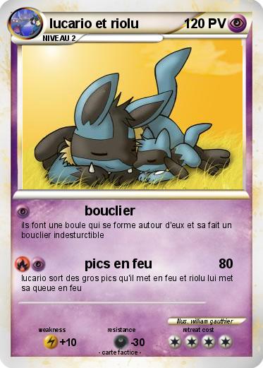 Pokemon lucario et riolu