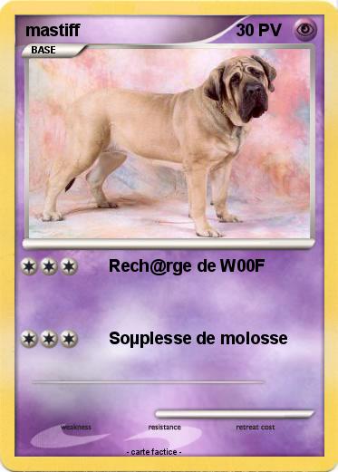 Pokemon mastiff