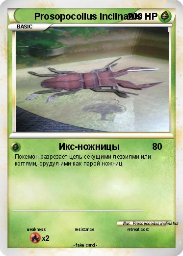 Pokemon Prosopocoilus inclinatus