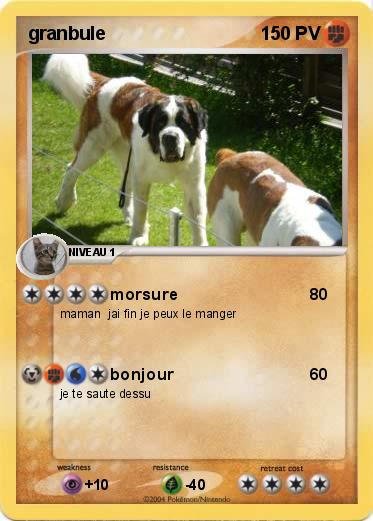 Pokemon granbule