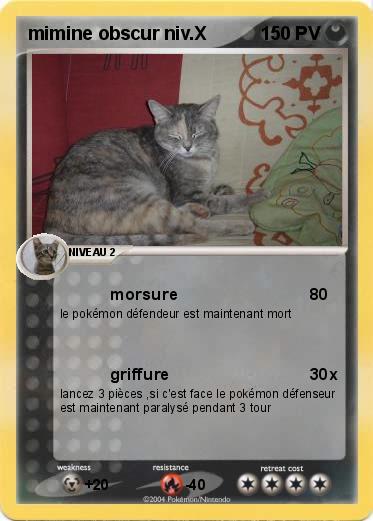 Pokemon mimine obscur niv.X