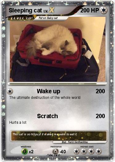 Pokemon Sleeping cat