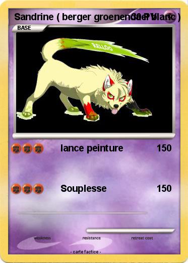 Pokemon Sandrine ( berger groenendael blanc )