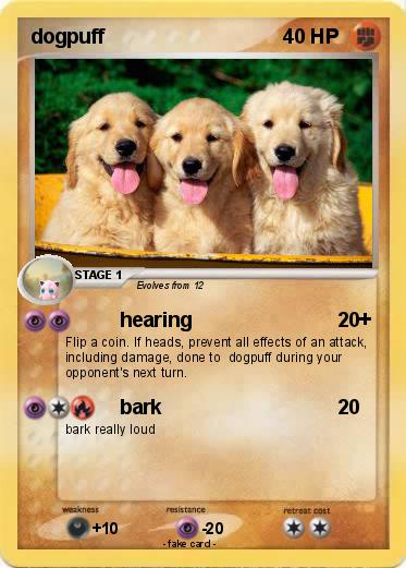 Pokemon dogpuff