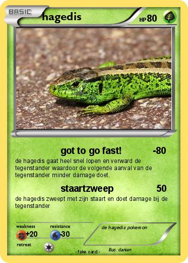Pokemon hagedis